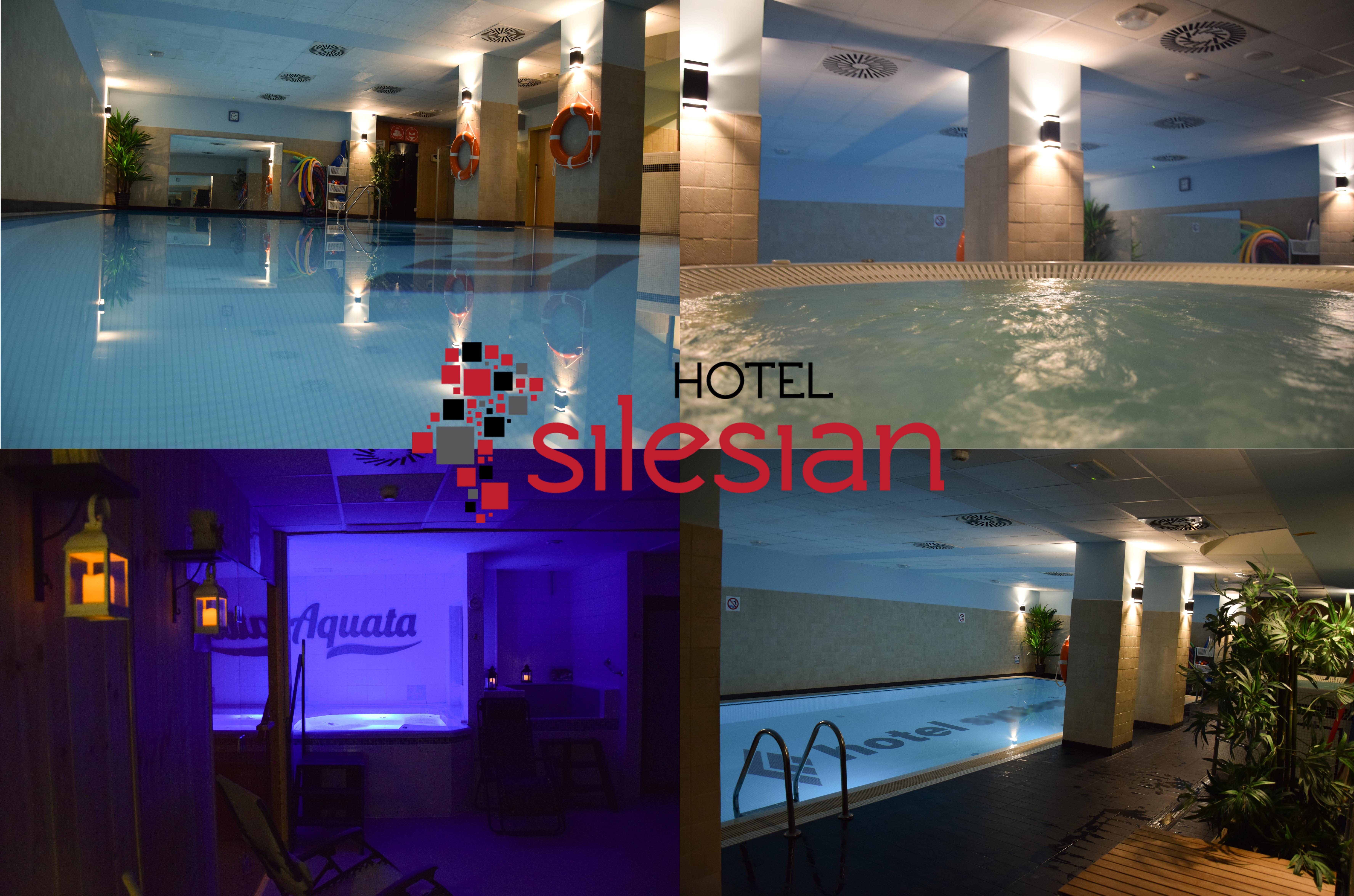 Economy Silesian Hotel Κατοβίτσε Εξωτερικό φωτογραφία