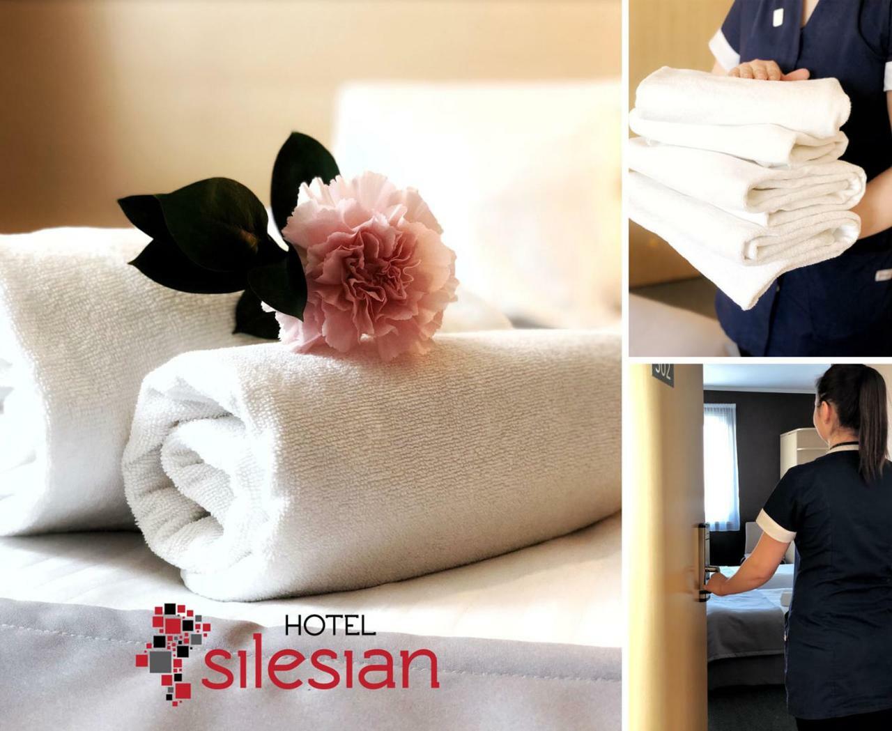 Economy Silesian Hotel Κατοβίτσε Εξωτερικό φωτογραφία